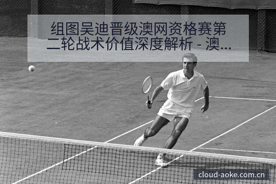 组图吴迪晋级澳网资格赛第二轮战术价值深度解析 - 澳客网址